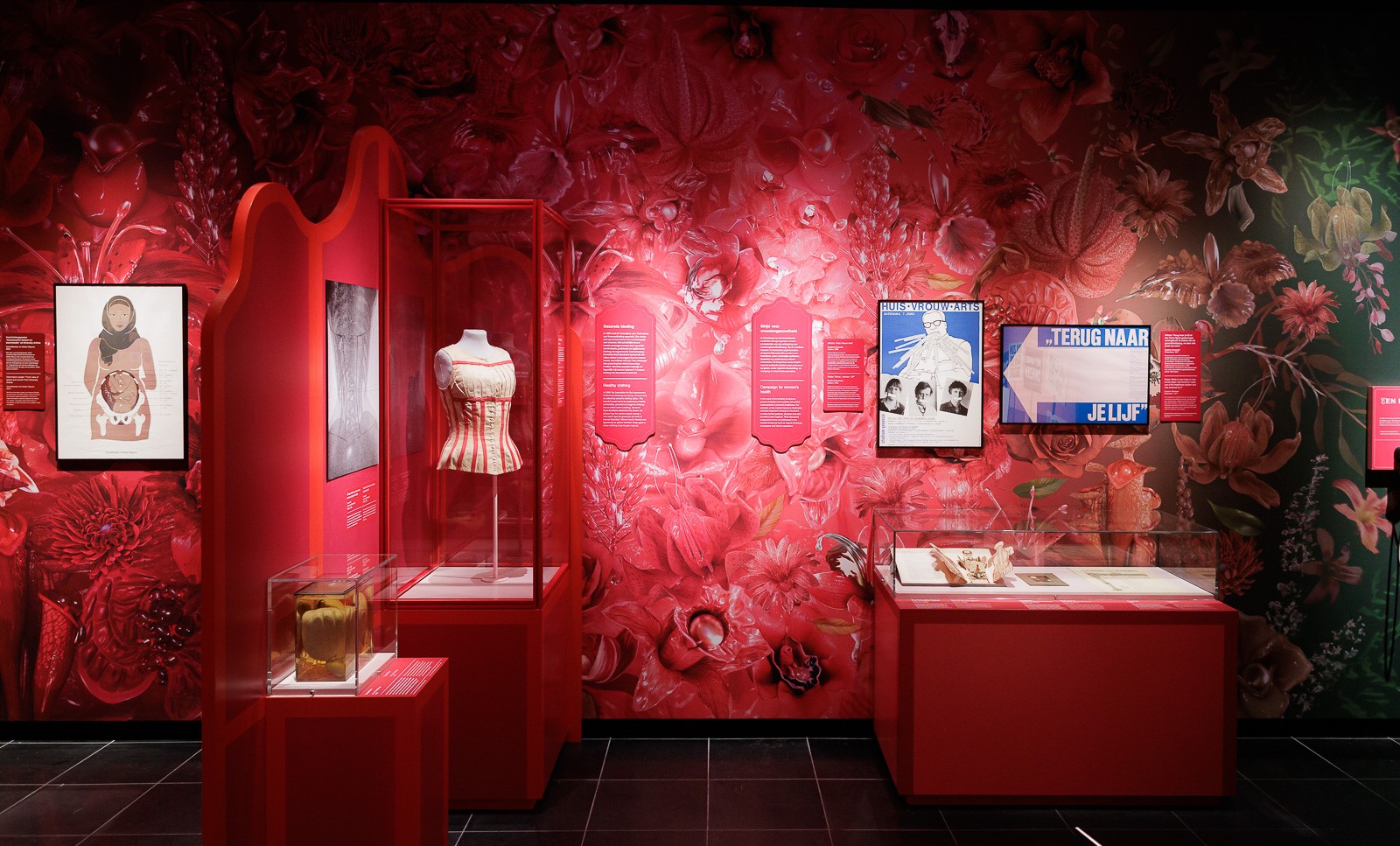 Salonlezing in Rijksmuseum Boerhaave belicht rol van vrouwen als medische beoefenaars
