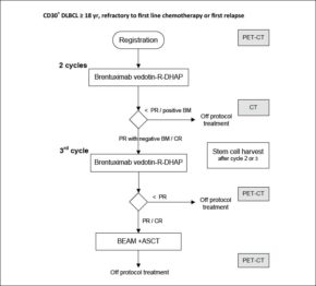 FIGUUR 1. Opzet HOVON 136 Transplant BRaVE-studie voor patiënten met een primair refractair of eerste recidief van een CD30-positief diffuus grootcellig B-cellymfoom.